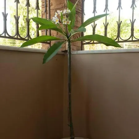 Coast Horizon * Romanos (Messenia)